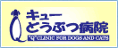 キューどうぶつ病院